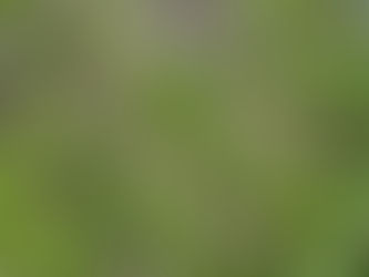 The Positive Accountant - Vol 2 Ed 18