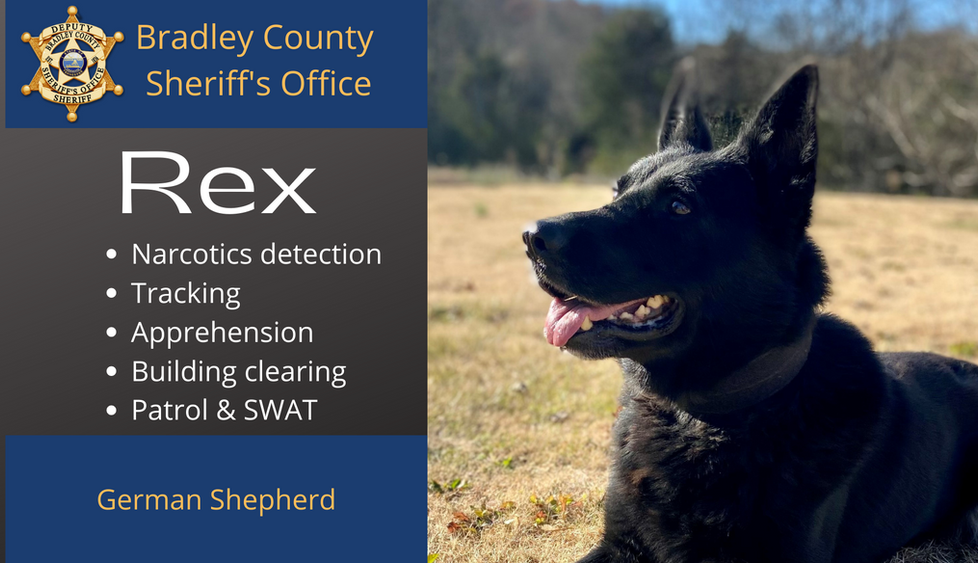 Rex K9 Card website.png