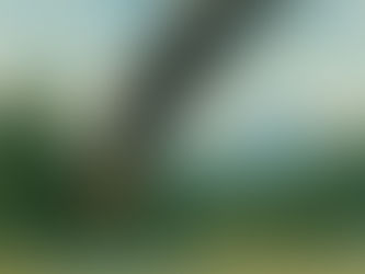 Incêndio em Jardim Dormente