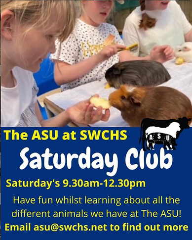 Saturday Club ages 6-10