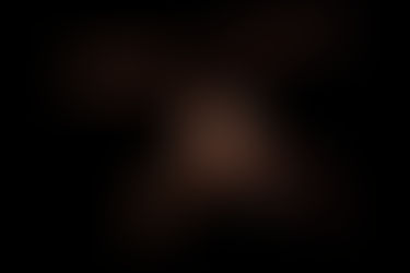 Artist:innen im CTC: The Wildes