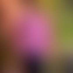 Finding Calm: Embracing Patience with Yourself in Stressful Times