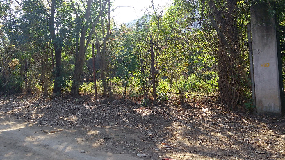HERMOSA HUERTA EN CHALMITA