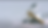 Screenshot 2025-06-05 at 9.22.22 AM.png