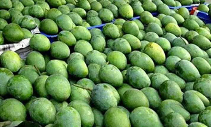 Thumbnail: Mango (Rajshahi-Chapainawabganj)