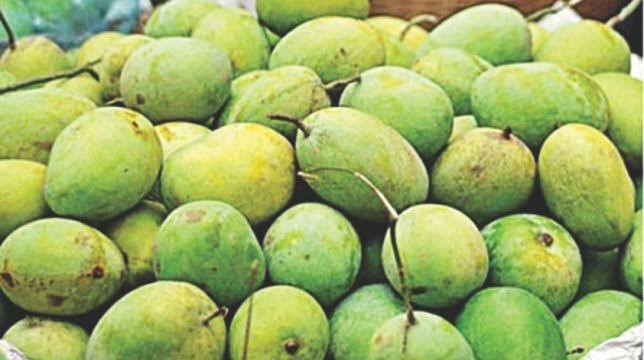 Thumbnail: Mango (Rajshahi-Chapainawabganj)