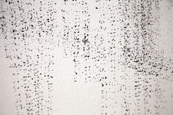 110_697b Poussières de Rêves #24 (30x40cm) Mars 2021 (Paris).jpeg
