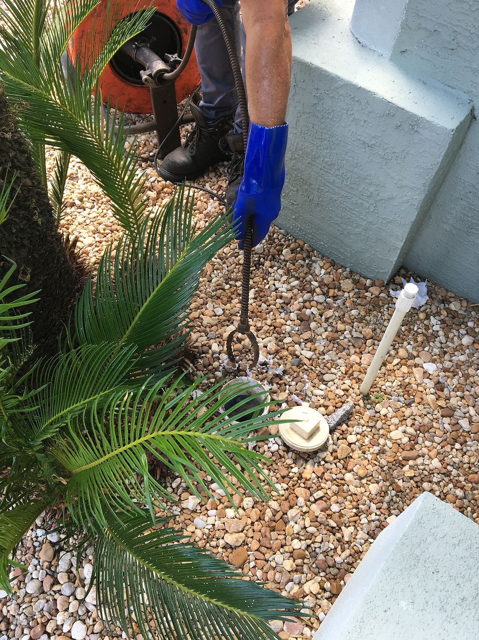 FAQ About The Plumbing Cleanout For The Sewer Drain