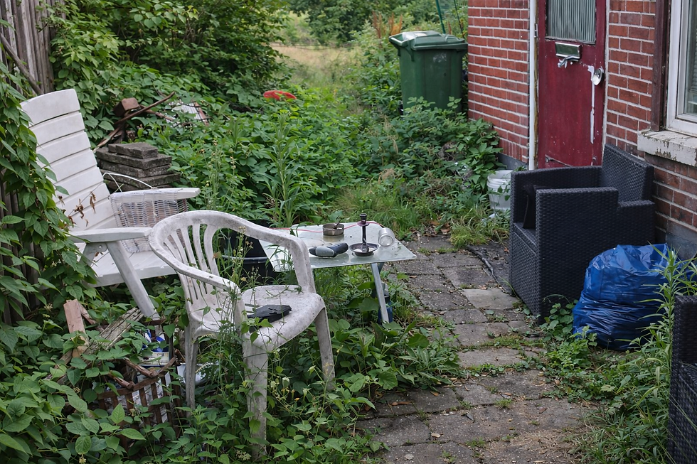 tuin leeghalen bij verwilderde achtertuin