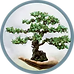 M Bacal Group - Insurance in Montreal, Quebec and across Canada