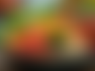 Sustainable Lifestyle Changes for Long-Term Wellness