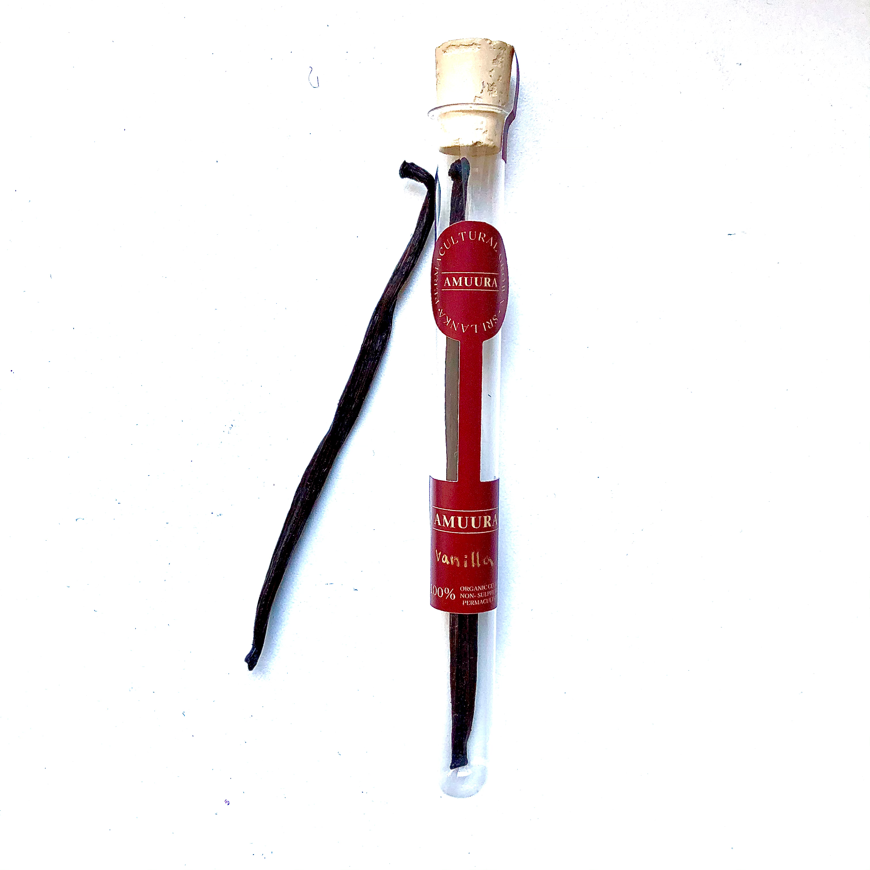 Vanilla Bean Organic from Sri Lanka