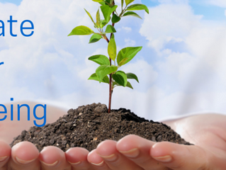 Make Your Well-being Your Responsibility: 5 Tips to Get You Started