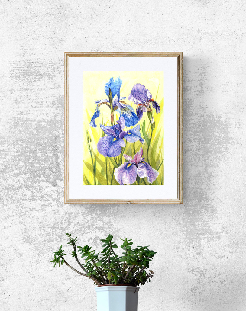 Thumbnail: A vibrant painting featuring purple and blue irises displayed elegantly on a wall, showcasing their natural beauty.