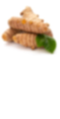 Turmeric.jpg
