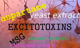 興奮毒素に関する米神経科医のインタビュー Dr Russell Blaylock On Excitotoxins