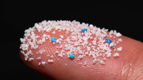 Microplastics and IBD
