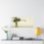 Thumbnail: Plant Arrangement Poster
