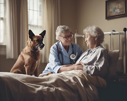 Companionship health care.jpg