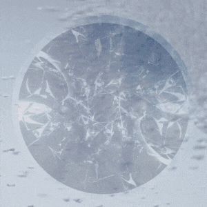 Untitled (300 x 300 px).gif