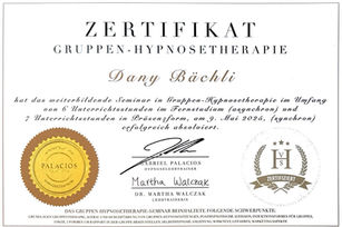 Diplom Gruppenhypnose Dany Bächli Inwil Luzern