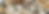banner5.png
