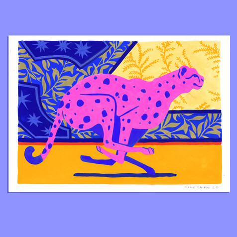 guépard.jpg