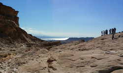 15cad292-cf32-4b96-b7fe-71a18c86f01e