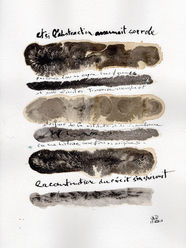 Antoine Grumbach. Encyclopédie Vagabonde. 