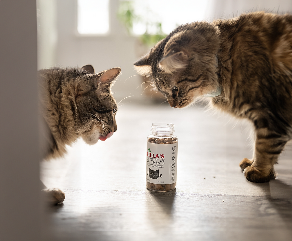 Thumbnail: Full-Spectrum CBD Cat Treats with Chicken Flavor