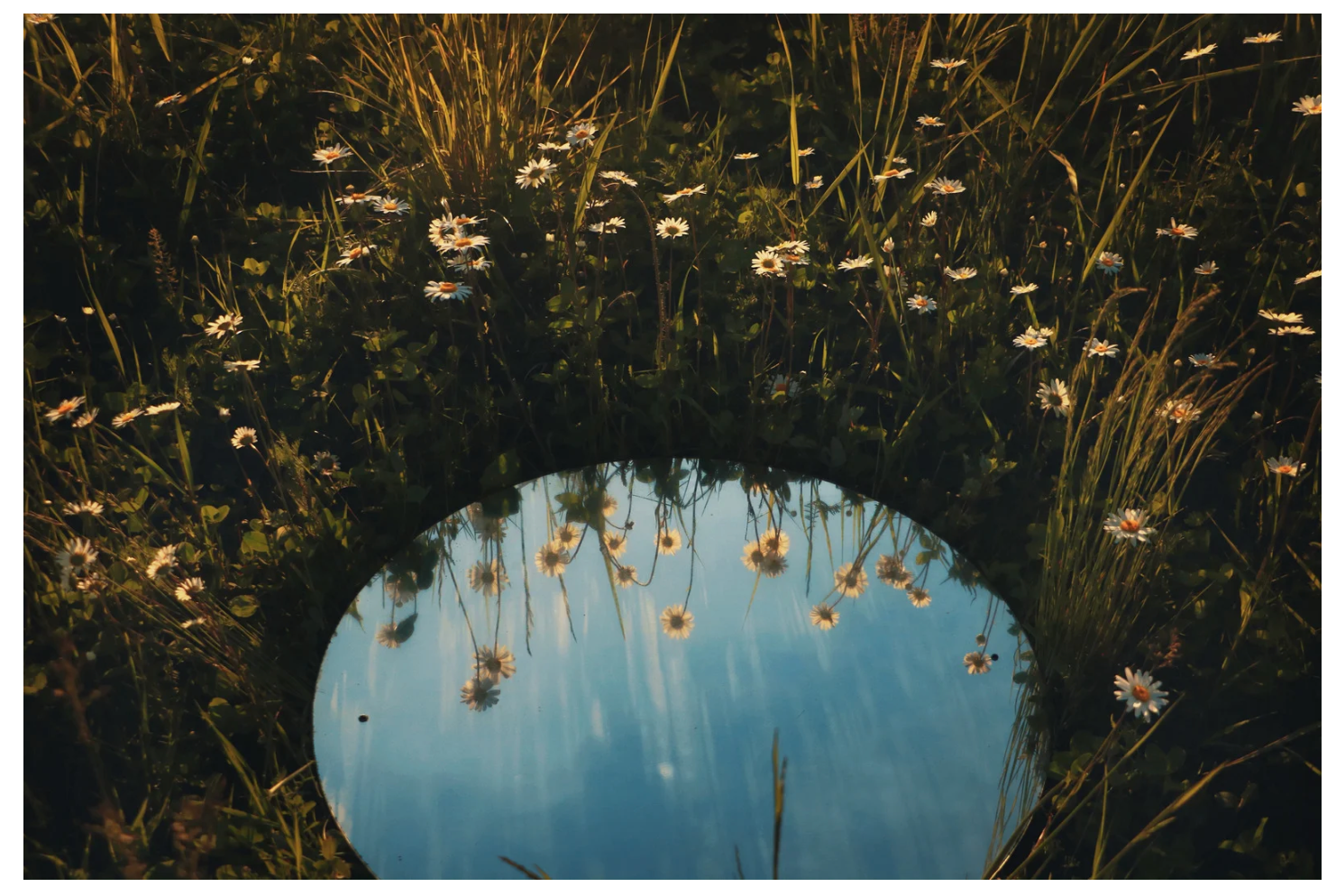 PREMIUM Online Workshop MIR.Resonanz Selbstreflexion inkl. 2 Auswertungen