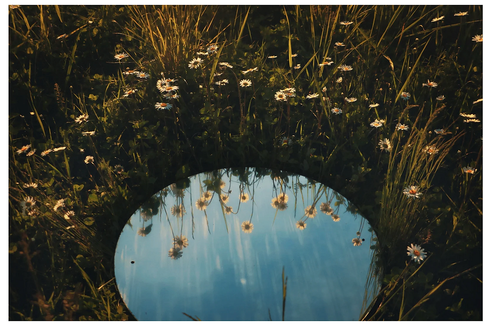 MIR.R Online Workshop Spiegel Selbstreflexion