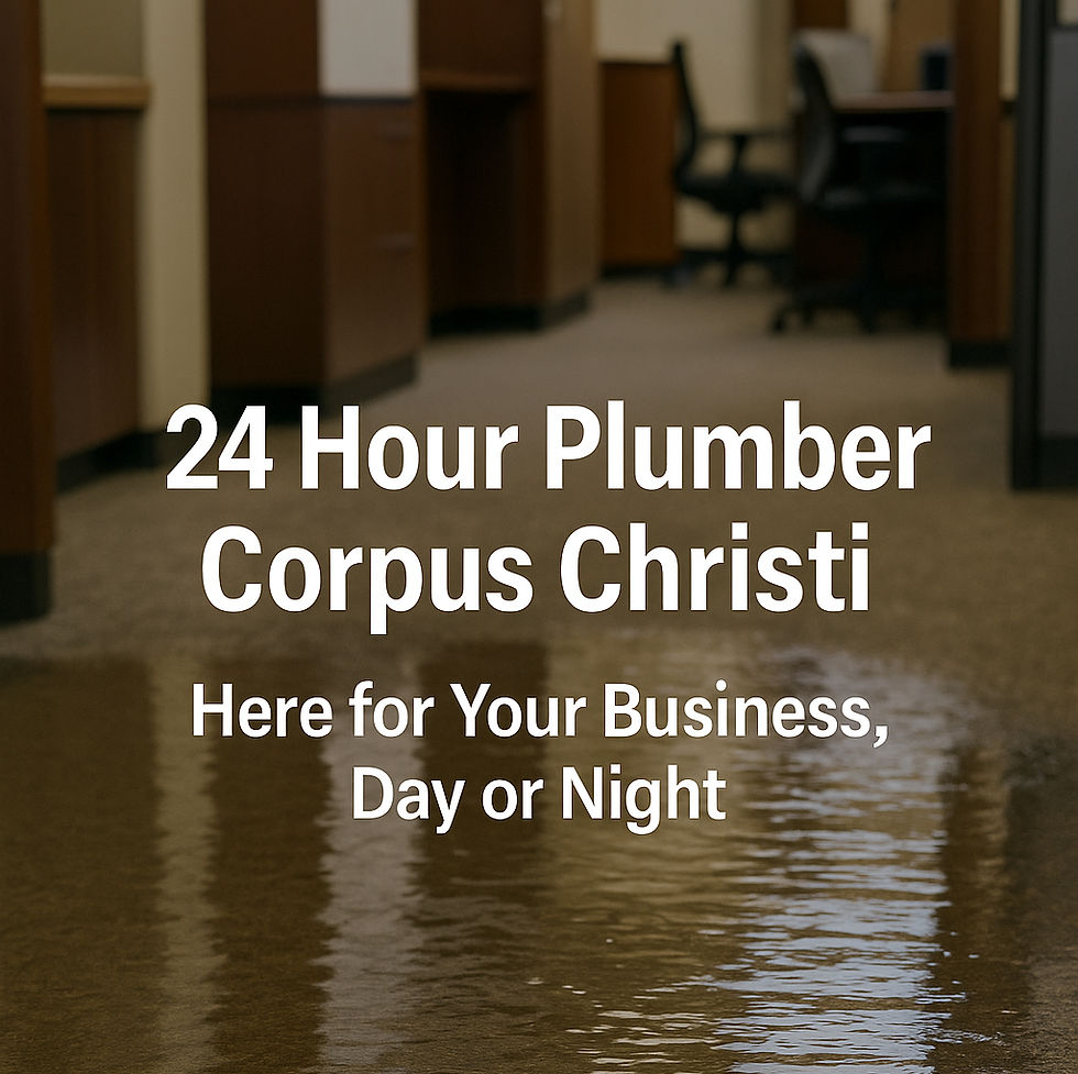 24 hour plumbing corpus christi