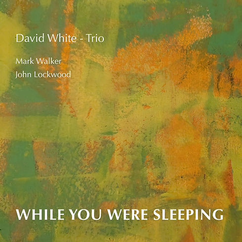 While You Were Sleeping_cover 1.jpg
