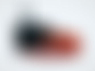 performance management