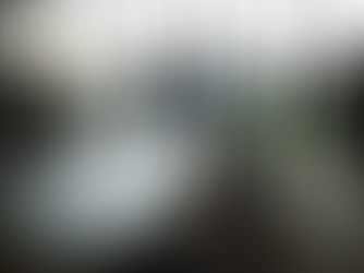 bağımsız yönetim kurulu