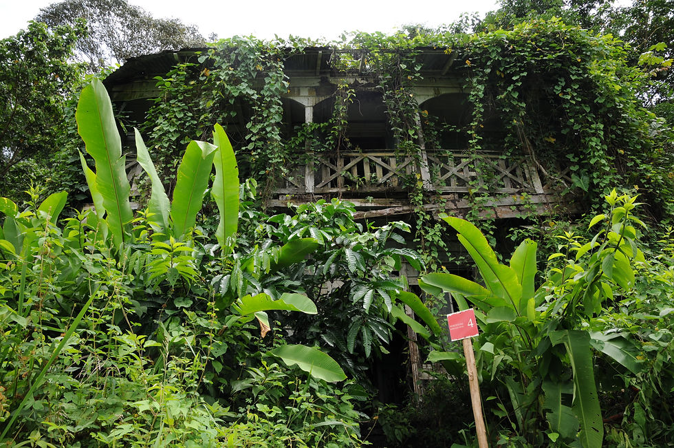 Berg en Dal Plantation