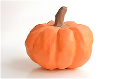 Pumpkin_edited.png
