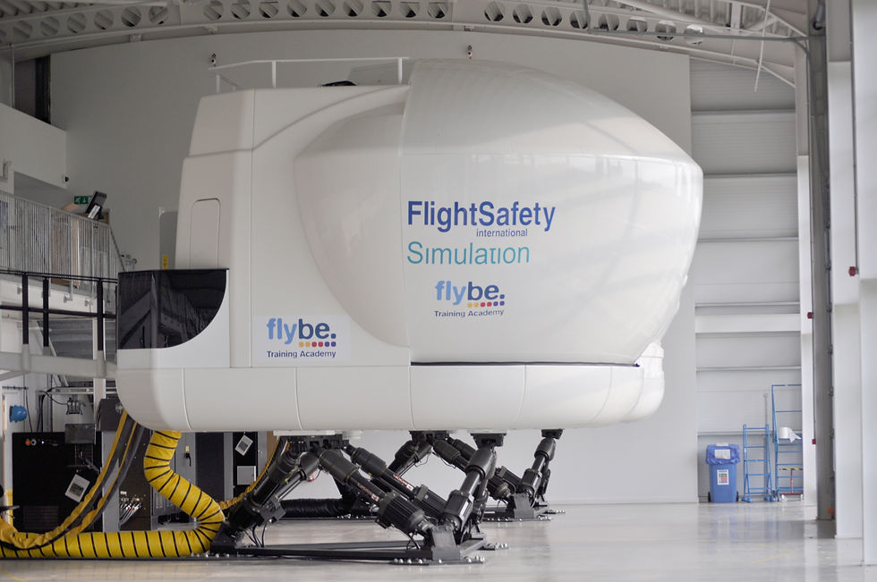 Flight Simulator Module