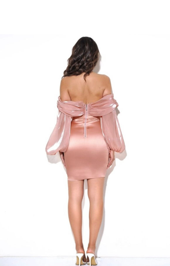 Thumbnail: ROSEBUD DRESS