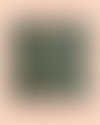 ヒナタノオト伊勢丹新宿店催事のご案内です