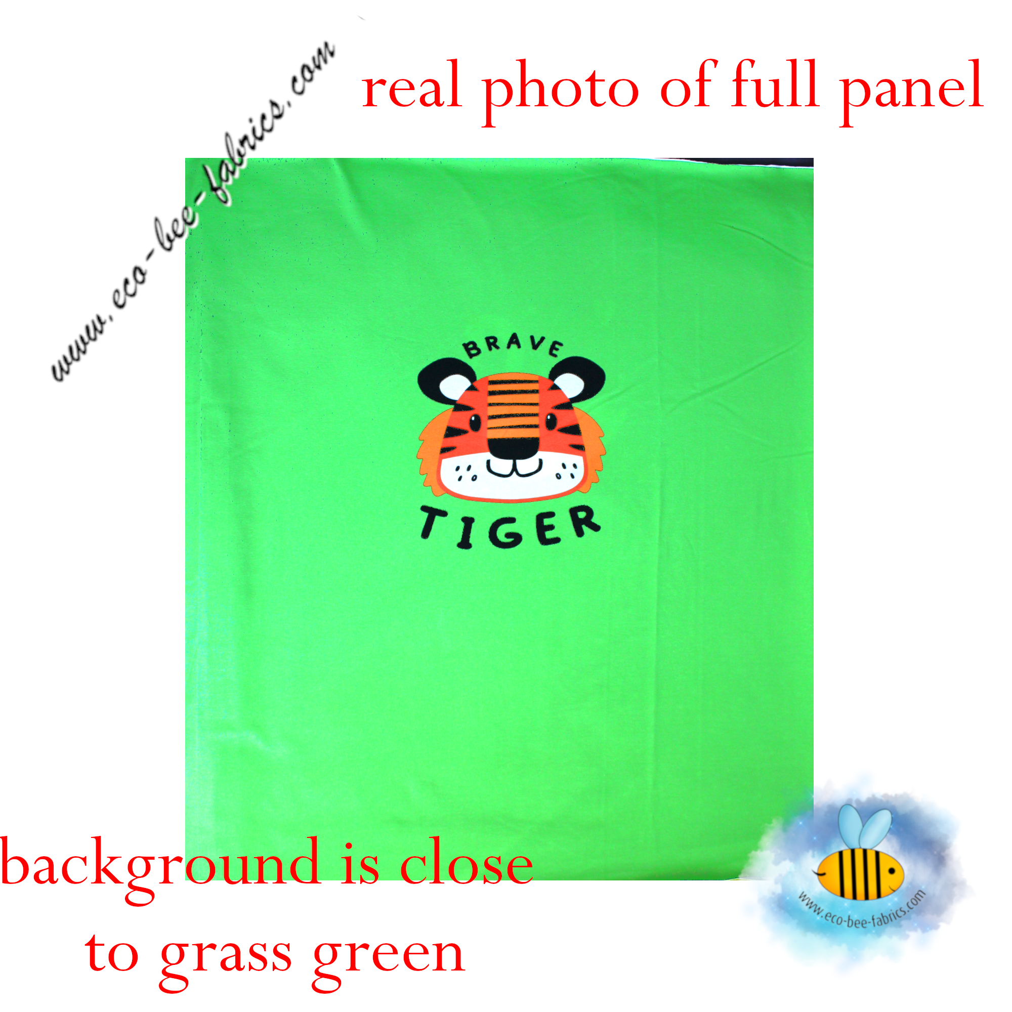 Tiger - PANEL jersey