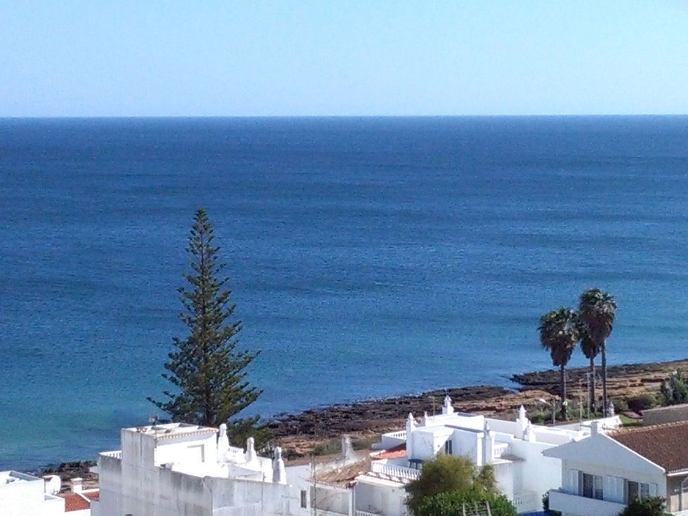 Luz Ocean