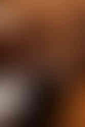 Bröllop på Riddarhuset fotograf