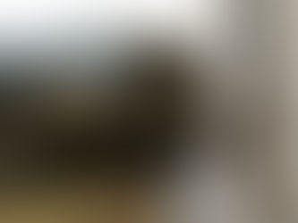 Företagsfotografering?