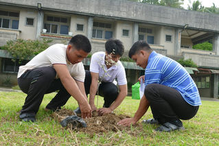 Tree Growing at Nazareth: A Commitment to Faith and Stewardship