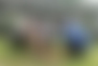 Tree Growing at Nazareth: A Commitment to Faith and Stewardship