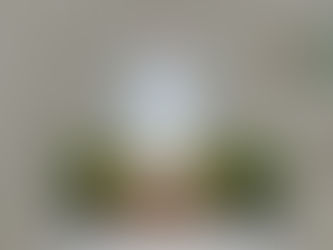 Praying the Holy Rosary