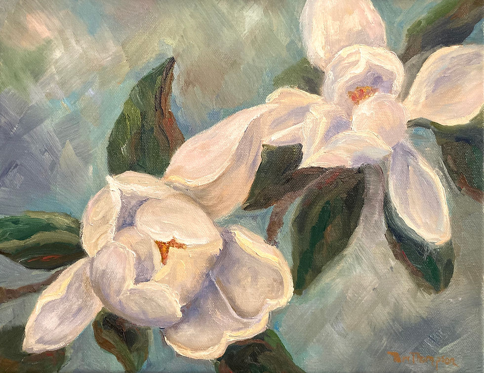 Magnolias in May