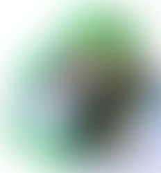 Start Shaving 節約編、初期投資額